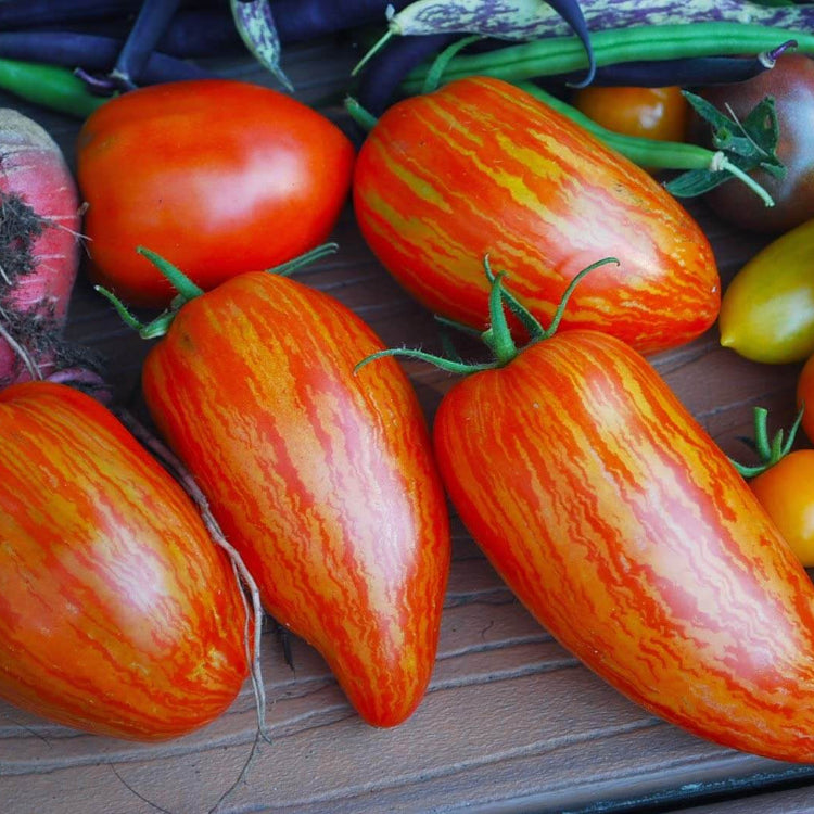 Tomato Seeds – Red Speckle