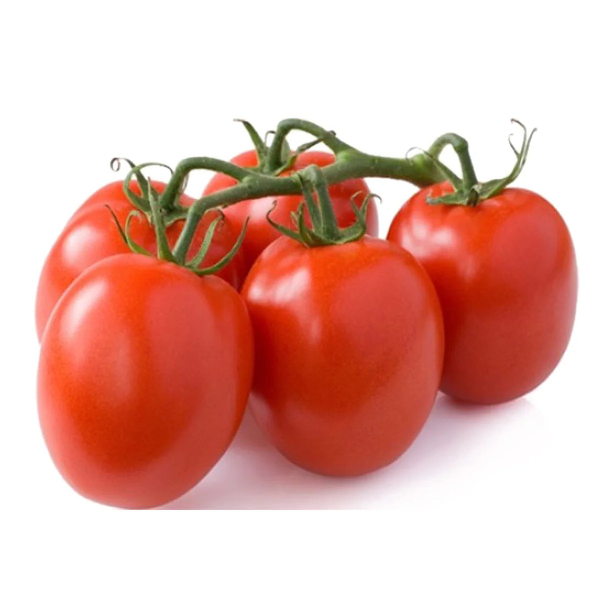 Tomato Seeds – Roma