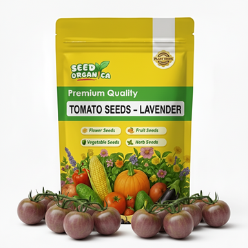Tomato Seeds - Lavender