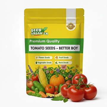 Tomato Seeds – Better Boy