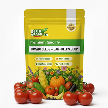 Tomato Seeds – Campbell's Soup