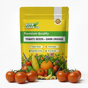 Tomato Seeds – Dark Orange