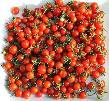Tomato Seeds – Everglades