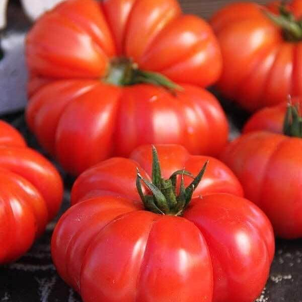 Tomato Seeds – German