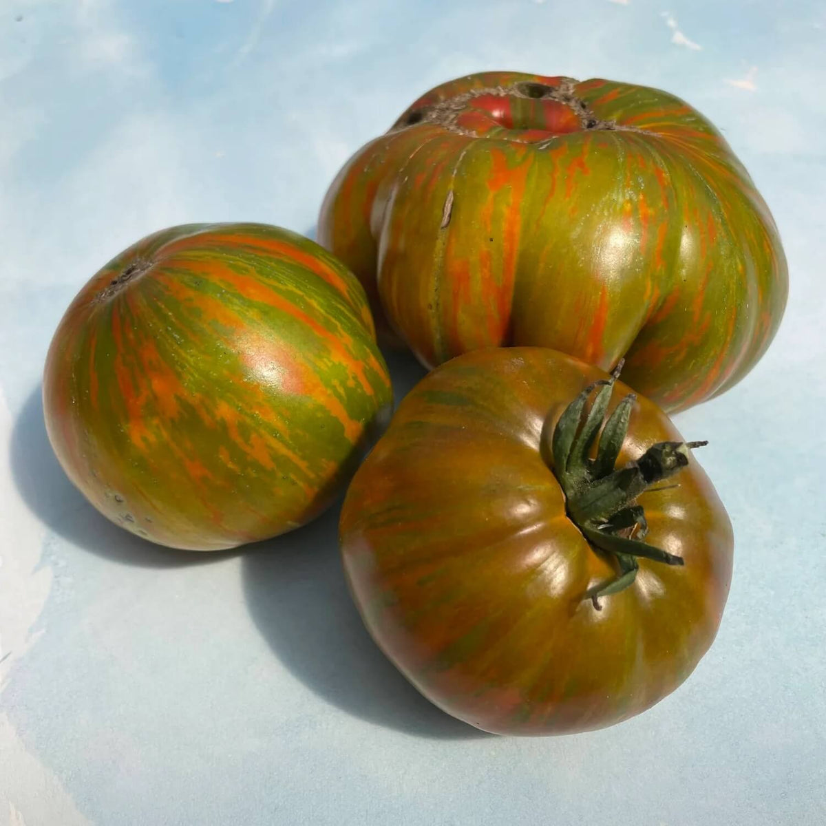 Tomato Seeds – Green Brown