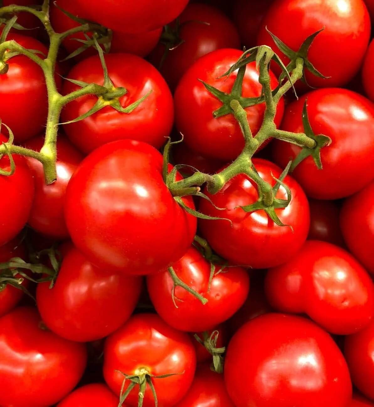Tomato Seeds – Heidi Heirloom Small 
