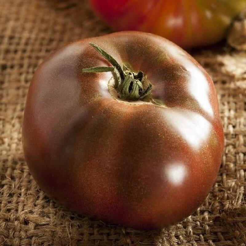 Tomato Seeds – Maroon