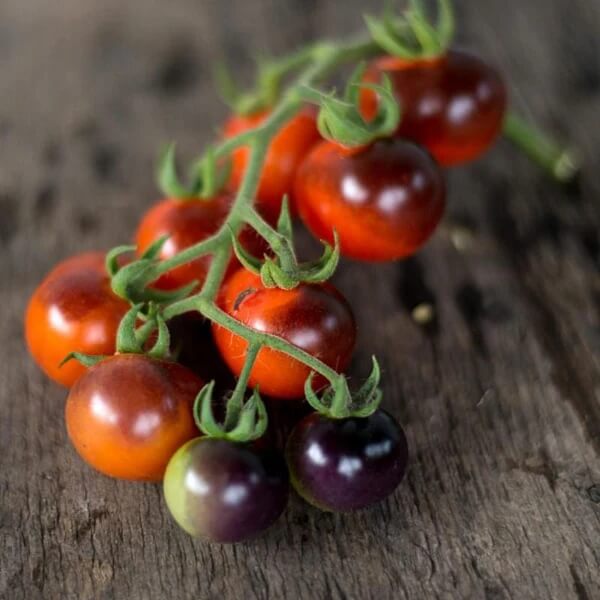 Tomato Seeds – Mixed Blueberries