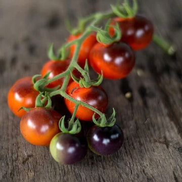 Tomato Seeds – Mixed Blueberries
