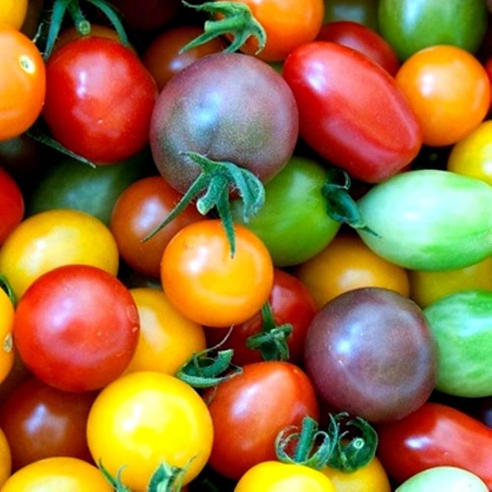 Tomato Seeds – Mixed Cherry