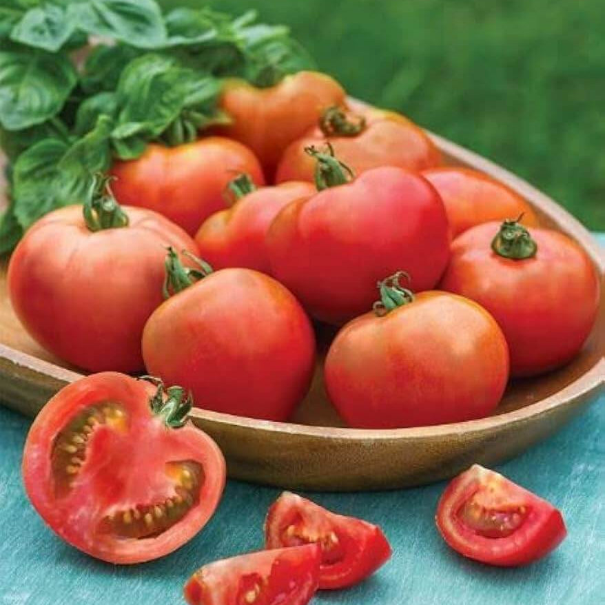 Tomato Seeds – Moonglow