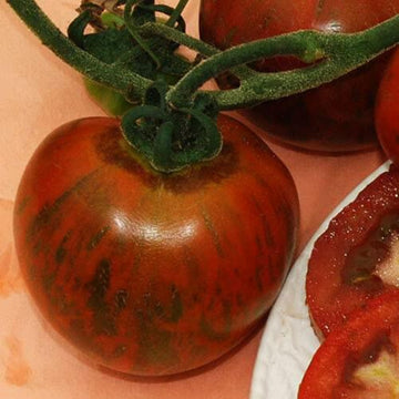 Tomato Seeds – Orange Brown