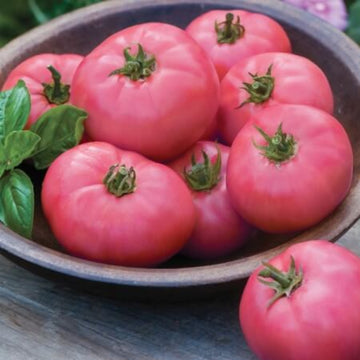 Tomato Seeds – Pale Pink Big