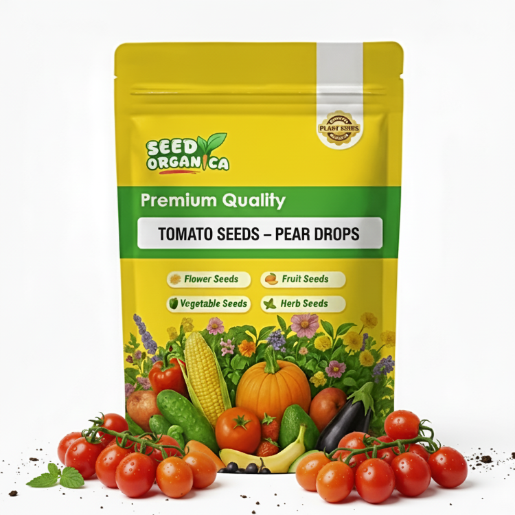 Tomato Seeds – Pear Drops