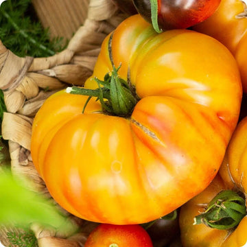Tomato Seeds – Pineapple