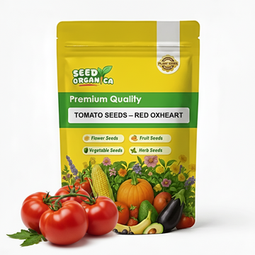 Tomato Seeds – Red Oxheart