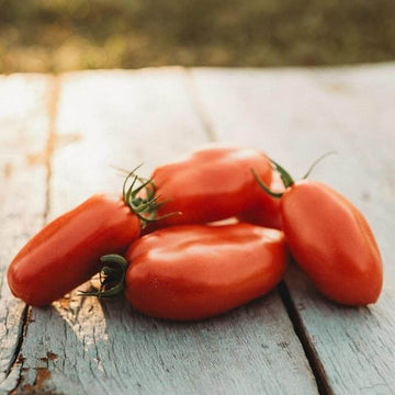 Tomato Seeds – San Marzano