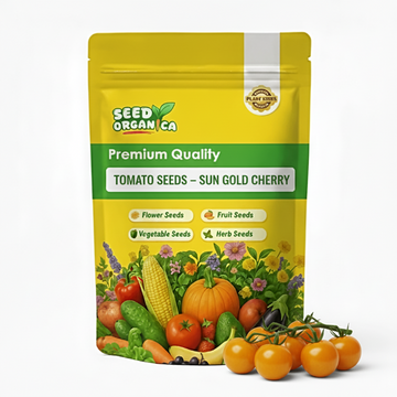 Tomato Seeds – Sun Gold Cherry