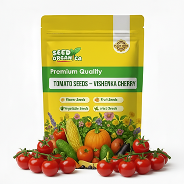 Tomato Seeds – Vishenka Cherry