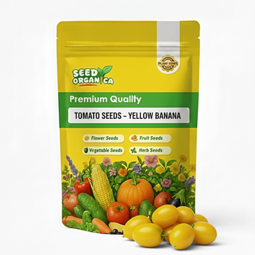 Tomato Seeds – Yellow Banana