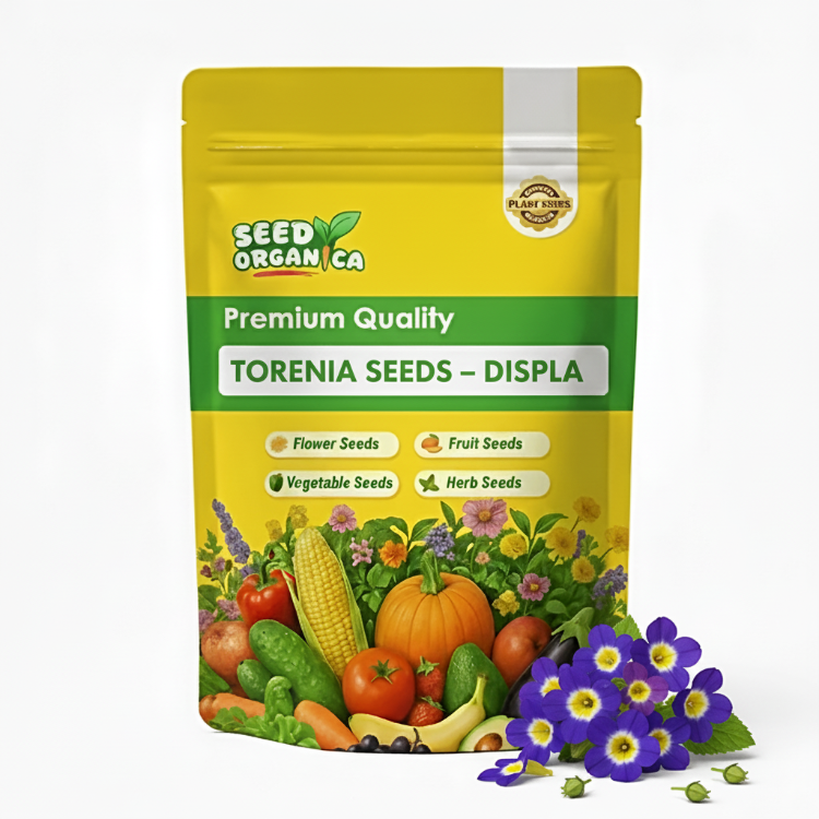 Torenia Seeds – Displa
