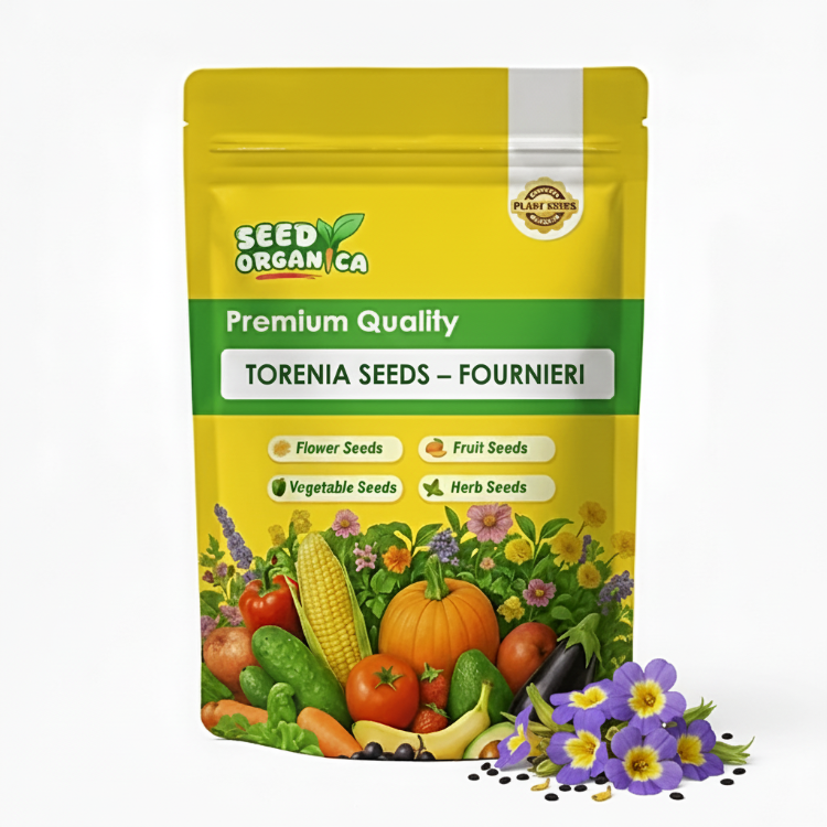 Torenia Seeds – Fournieri