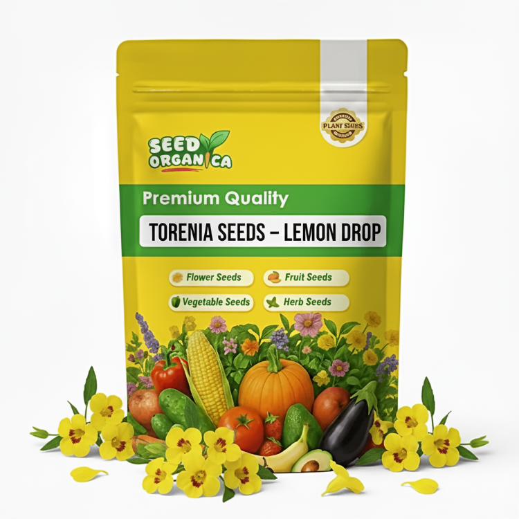Torenia Seeds – Lemon Drop