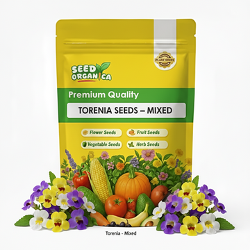 Torenia Seeds – Mixed