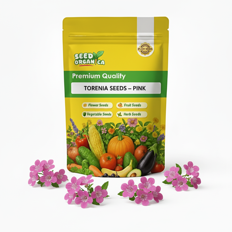 Torenia Seeds – Pink
