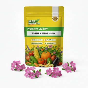 Torenia Seeds – Pink
