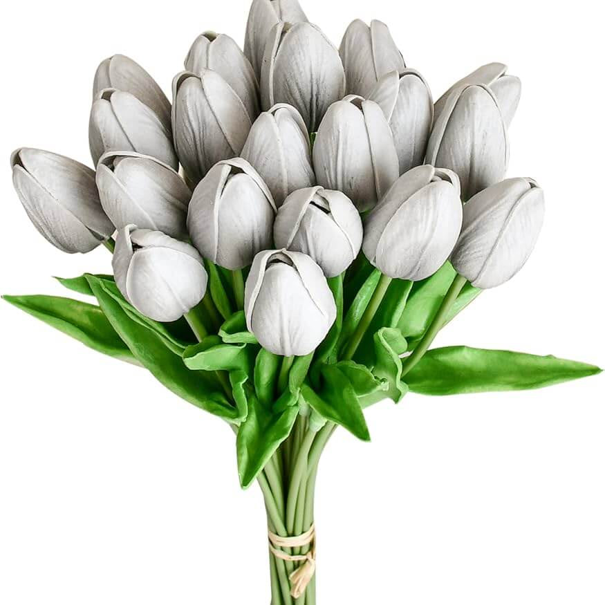 Tulip Seeds – Dark Gray 