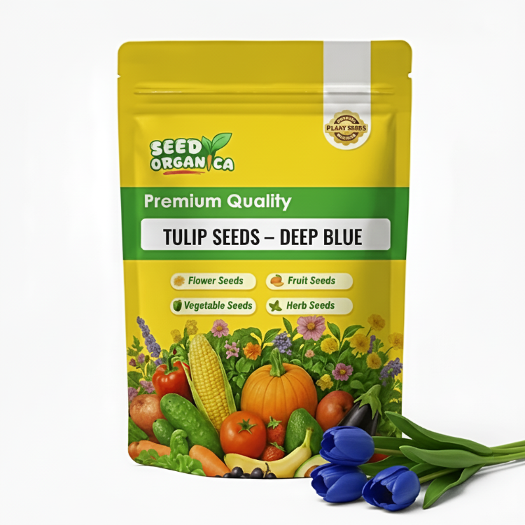 Tulip Seeds – Deep Blue