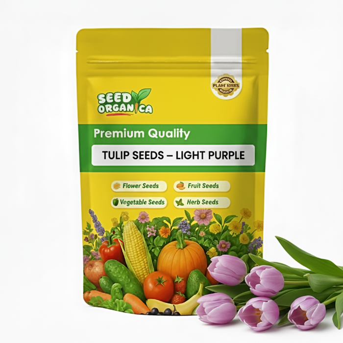 Tulip Seeds – Light Purple