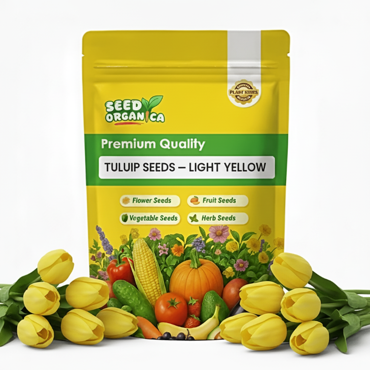 Tulip Seeds – Light Yellow