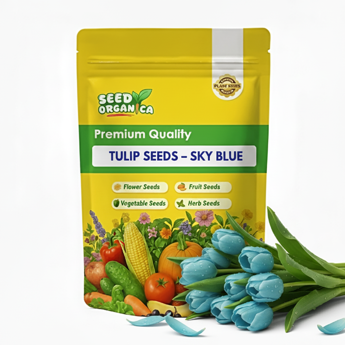 Tulip Seeds – Sky Blue