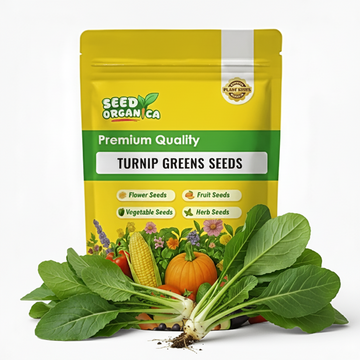 Turnip Greens Seeds