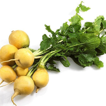 Turnip Seeds – Golden Ball