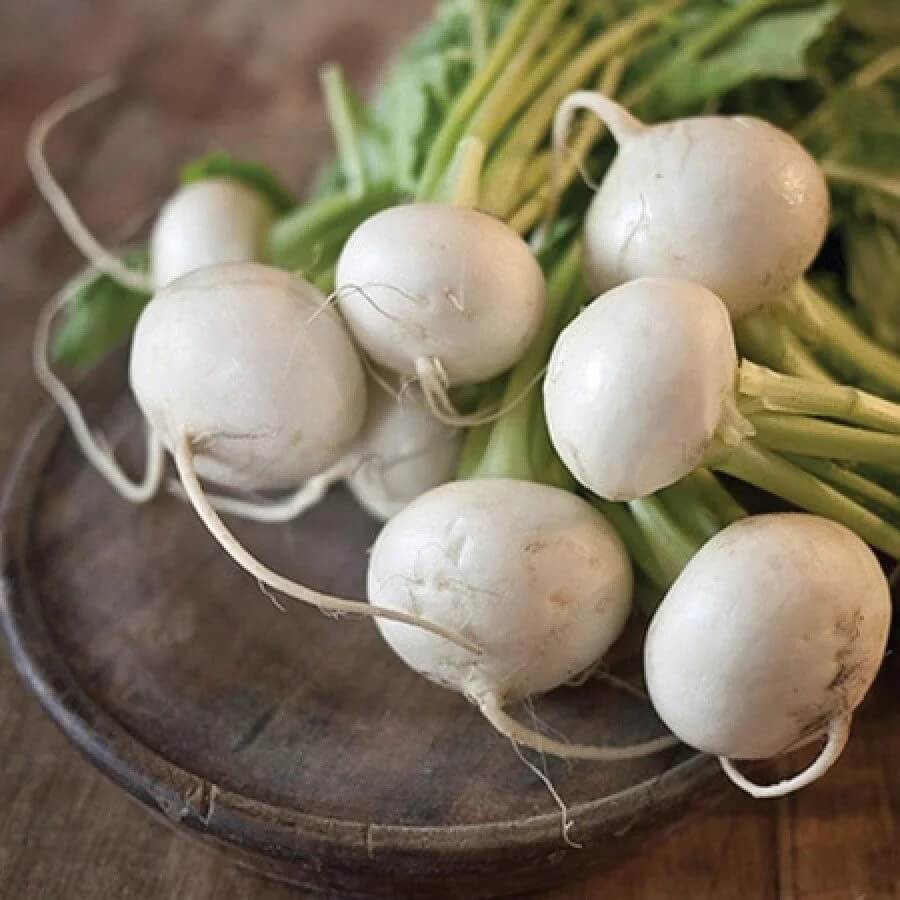 Turnip Seeds – Shogoin