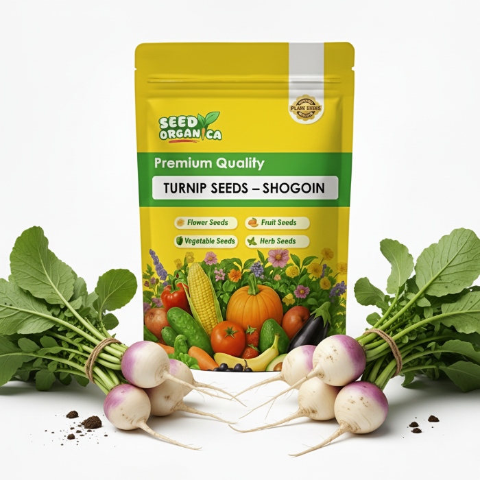 Turnip Seeds – Shogoin
