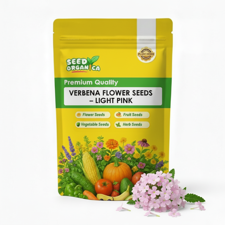 Verbena Flower Seeds – Light Pink