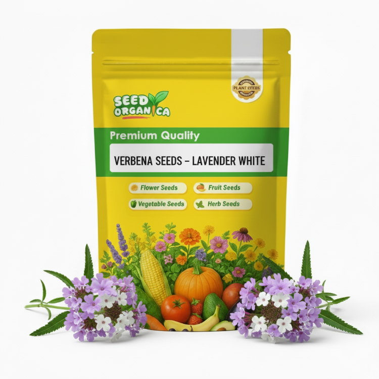 Verbena Seeds – Lavender White
