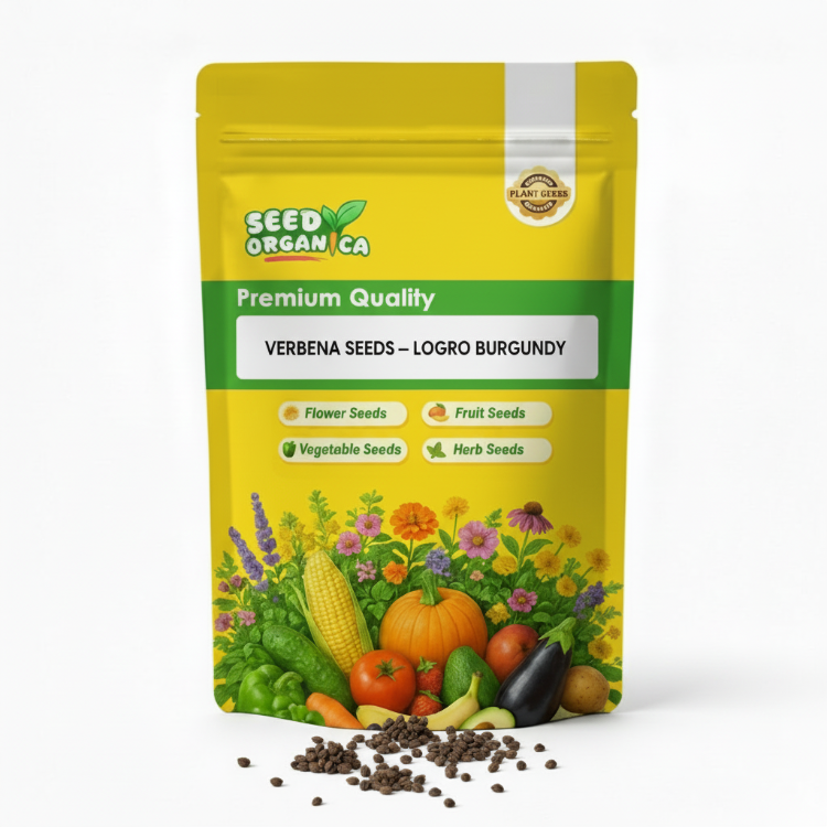 Verbena Seeds – Logro Burgundy