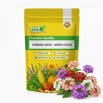 Verbena Seeds – Mixed Color