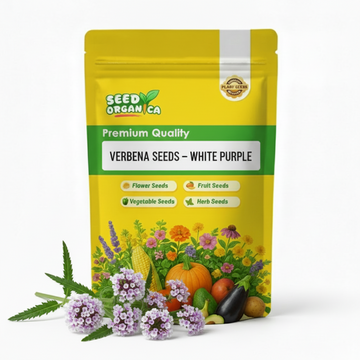 Verbena Seeds – White Purple