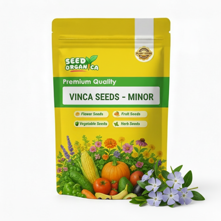 Vinca Seeds – Minor