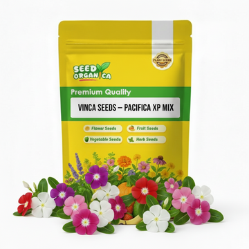 Vinca Seeds – Pacifica XP Mix