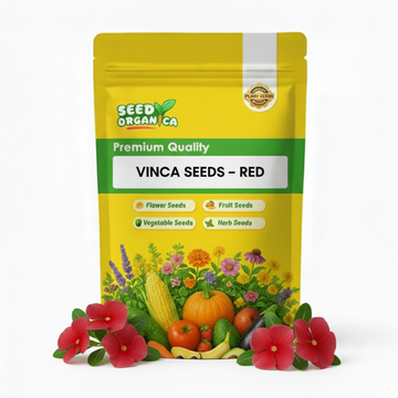 Vinca Seeds – Red