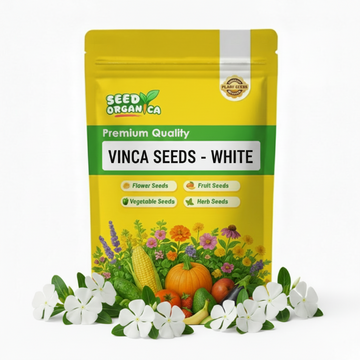 Vinca Seeds – White