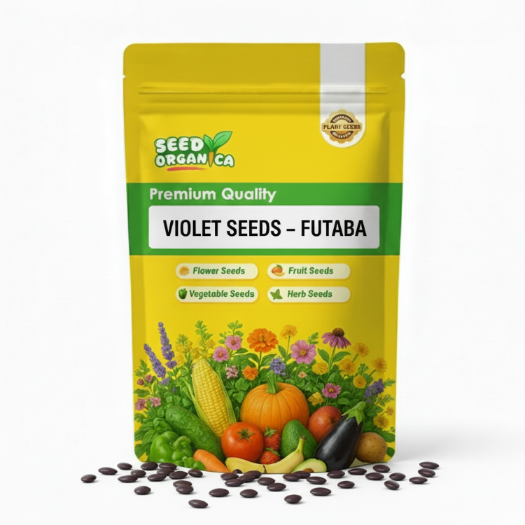 Violet Seeds – Futaba