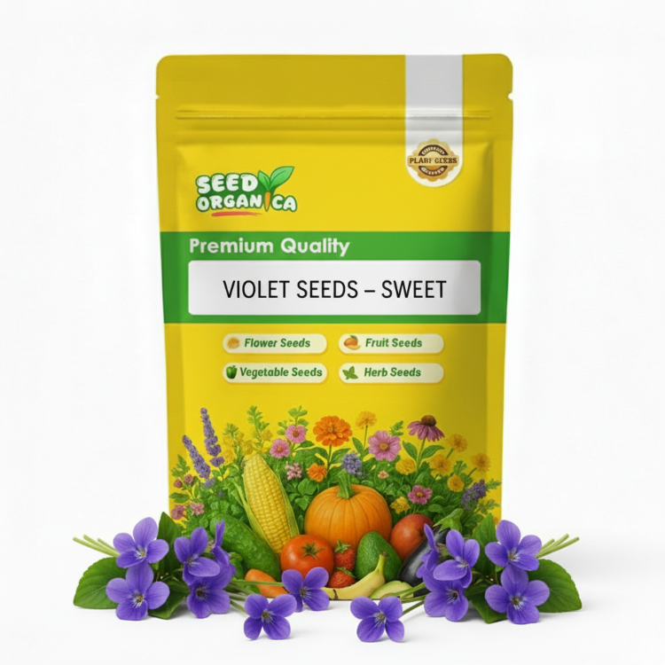 Violet Seeds – Sweet